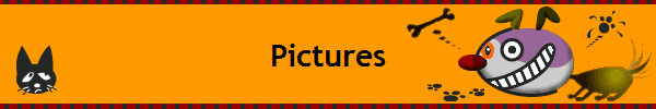 Pictures